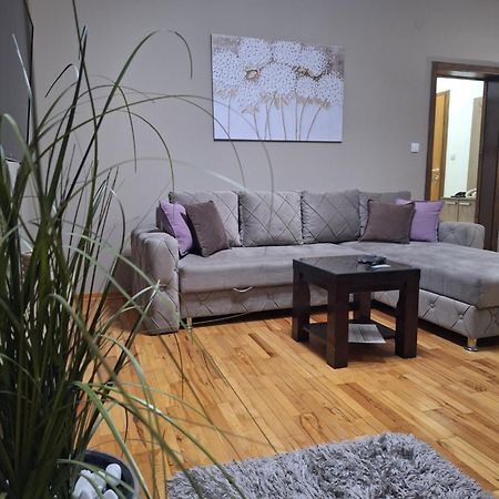 Apartmani Radulovic Врнячка-Баня Номер фото